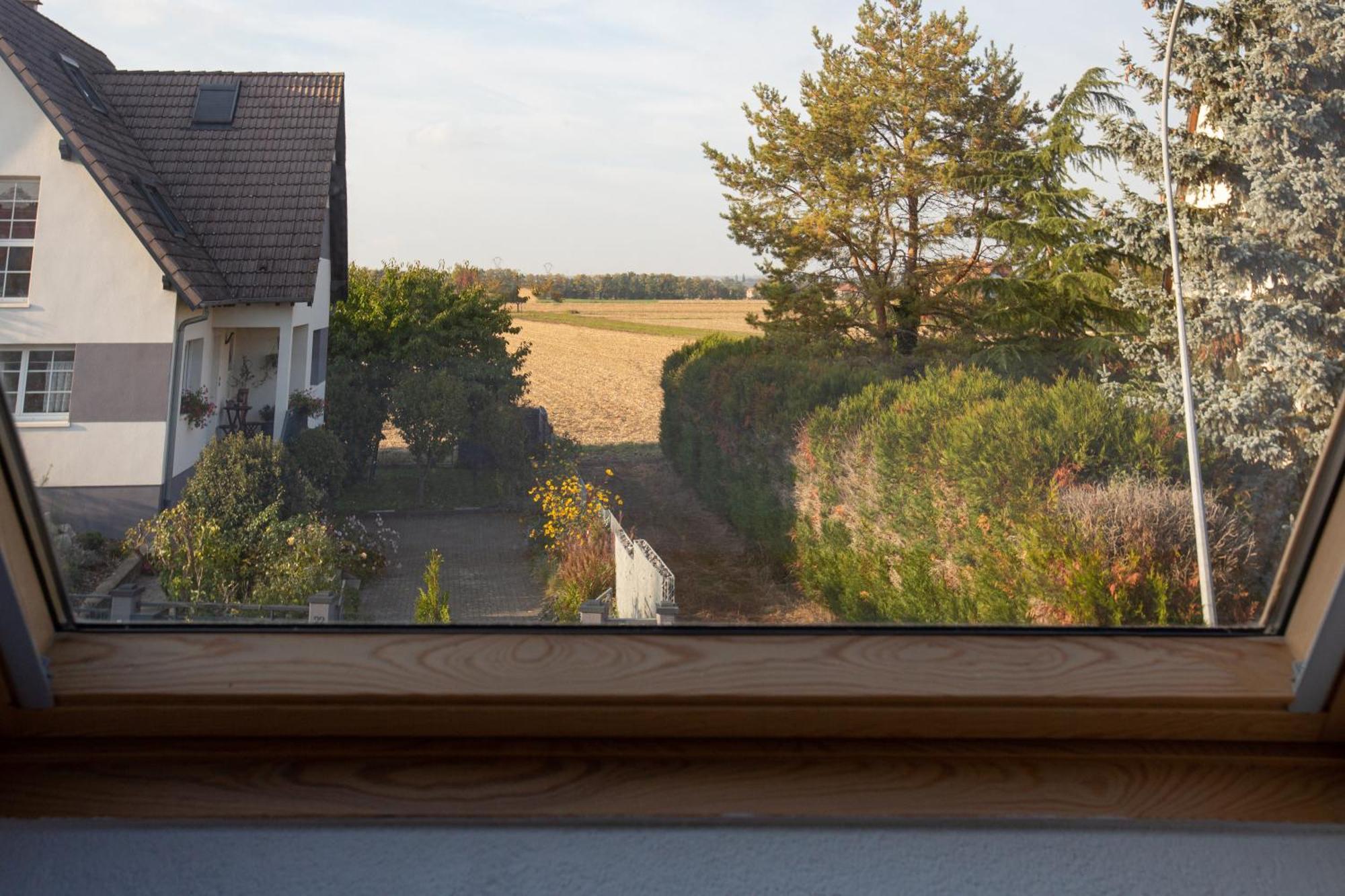 Gites Spa Strasbourg - Villa Cerf - Spa Prive, Sauna, Borne D'Arcade, Babyfoot Ittenheim Eksteriør billede